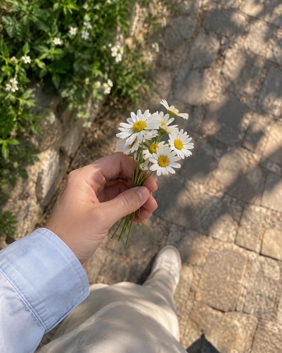 An imagined hand holding daisies on a sunny walk.